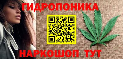 амф Бийск