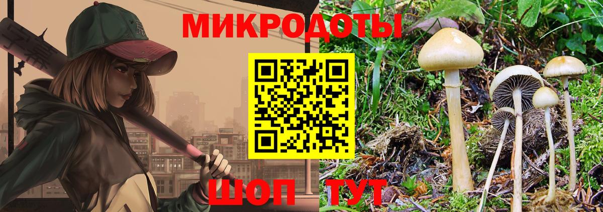 Псилоцибиновые грибы Cubensis  Вход с VPN  цена   Ульяновск 