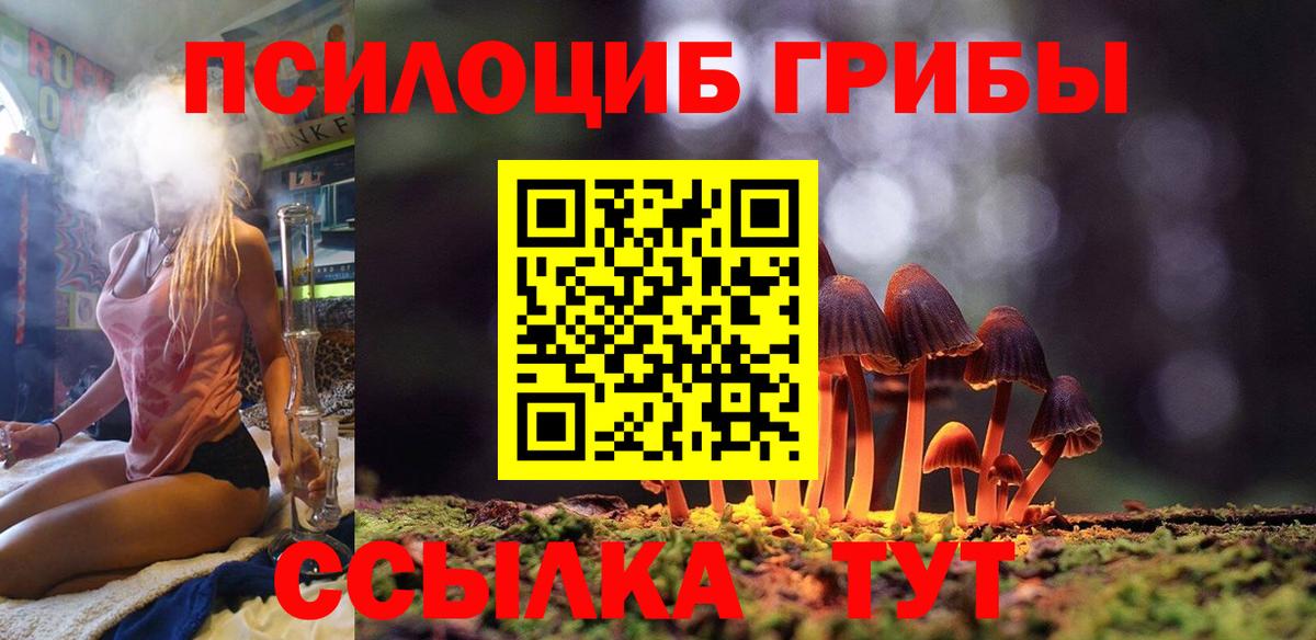 Галлюциногенные грибы Psilocybine cubensis Ульяновск